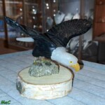 Minéraux et Cristaux Aigle onyx Minéraux et Cristaux