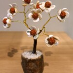 Arbre oeil de Ste Lucie et rudraksha Minéraux et Cristaux Arbre oeil de Ste Lucie et rudraksha Minéraux et Cristaux