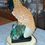 Minéraux et Cristaux Cacatoès sélénite orange Minéraux et Cristaux