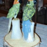 Minéraux et Cristaux Perroquets chrysoprase Minéraux et Cristaux