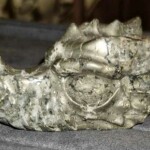 Minéraux et Cristaux Dragon pyrite Minéraux et Cristaux