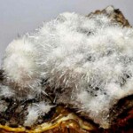 Aragonite aciculaire Aragonite aciculaire Minéraux et Cristaux DV