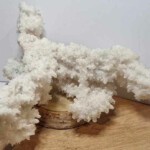 Cristal de roche Cristal de roche Minéraux et Cristaux DV