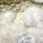 Okénite Okénite 1 Minéraux et Cristaux DV