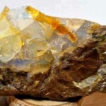 Opale Jelly Orégon Opale Jelly Orégon Minéraux et Cristaux DV