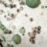 Préhnite, gyrolite et okénite sur gangue basalte Préhnite, gyrolite et okénite sur gangue basalte 1 Minéraux et Cristaux DV