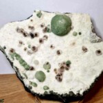 Préhnite, gyrolite et okénite sur gangue basalte Préhnite, gyrolite et okénite sur gangue basalte Minéraux et Cristaux DV